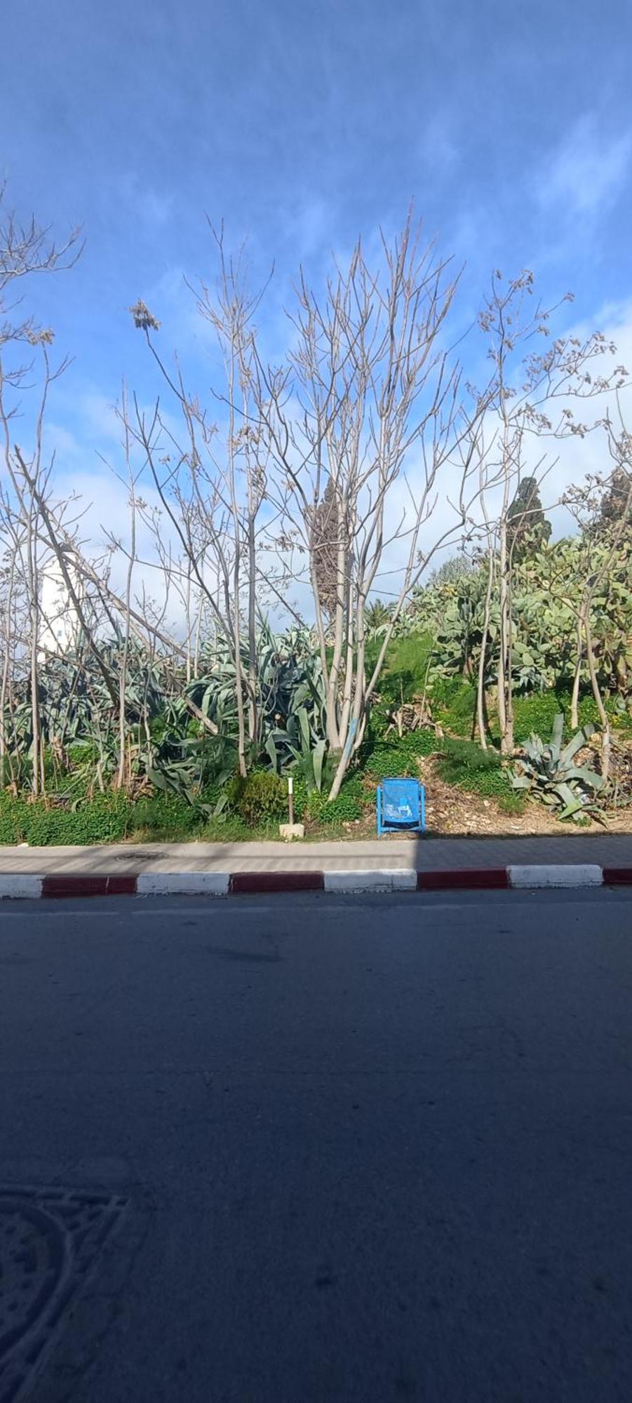 Jolie Maison Au Centre De Sidi Bou Said Ngoại thất bức ảnh